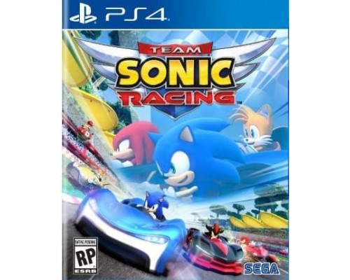 Игра PS4: Team Sonic Racing (русская версия)